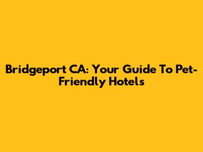 Bridgeport CA: Your Guide To Pet-Friendly Hotels